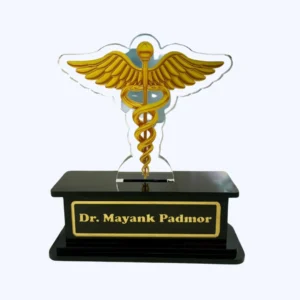 Personalized Acrylic Doctor Name Stand – Custom Medical Gift | ArtsCrafto